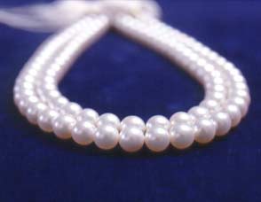 Due fili di perle di coltura con nucleo bianche di acqua salata