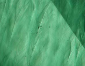 linee di accrescimento ad angolo acuto in uno smeraldo sintetico idrotermale